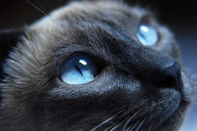 Jon’s test post as contributor